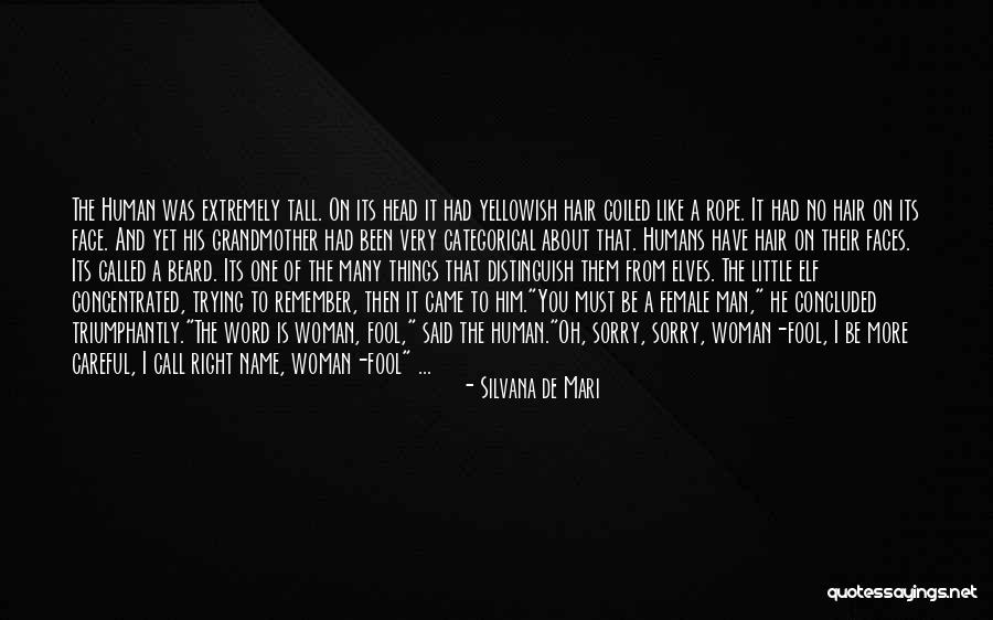 Railcars Quotes By Silvana De Mari Railcars Quotes By Silvana De Mari