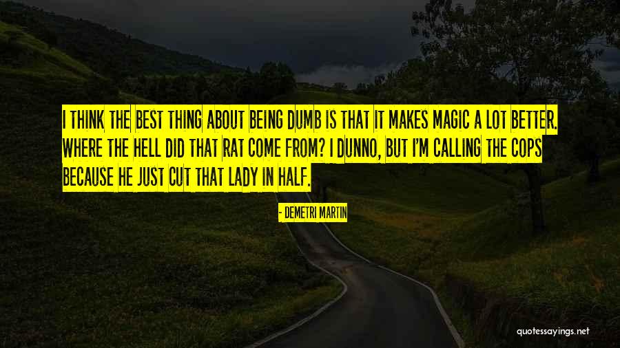 Railed Against Quotes By Demetri Martin Railed Against Quotes By Demetri Martin
