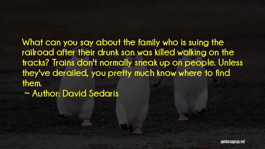 Railroad Tracks Quotes By David Sedaris