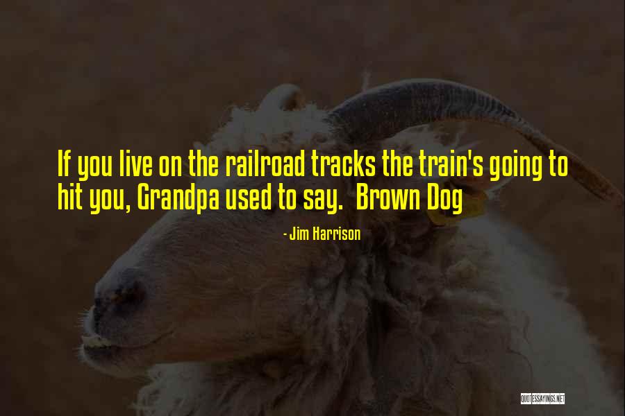 Railroad Tracks Quotes By Jim Harrison Railroad Tracks Quotes By Jim Harrison