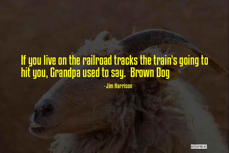 Railroad Tracks Quotes By Jim Harrison