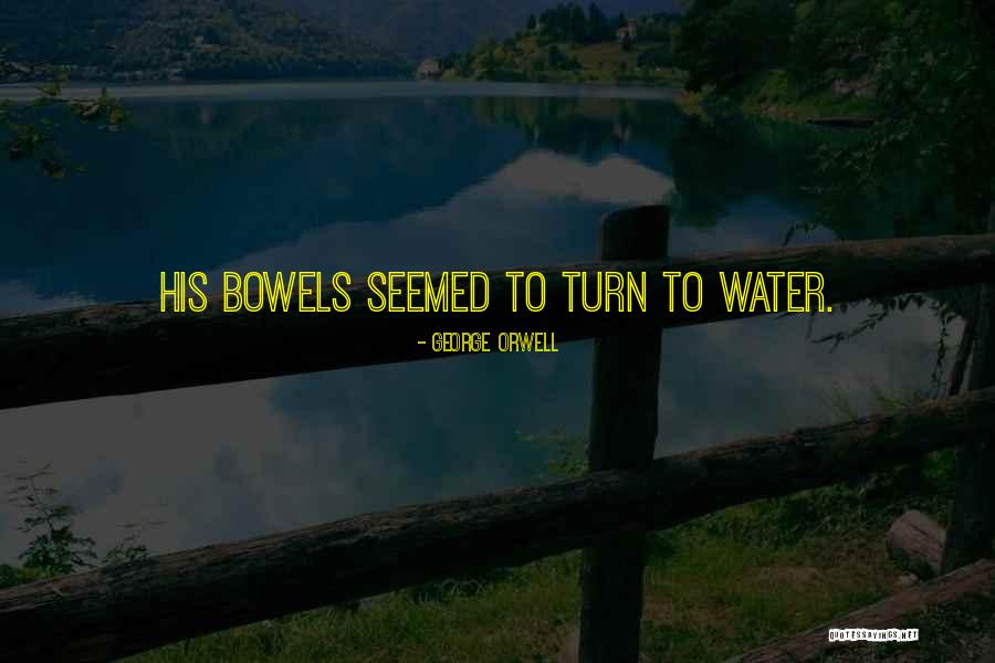Rails To_json Remove Quotes By George Orwell