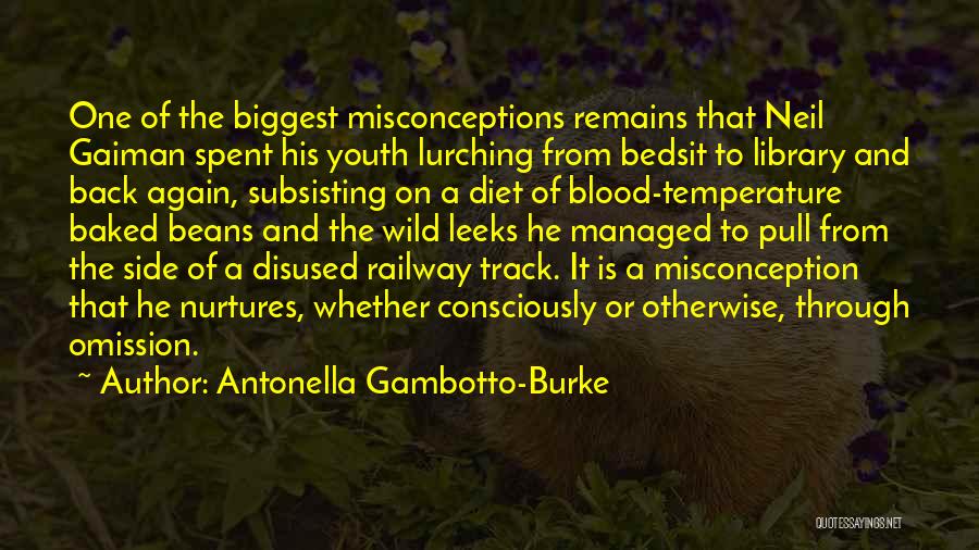 Railway Quotes By Antonella Gambotto-Burke