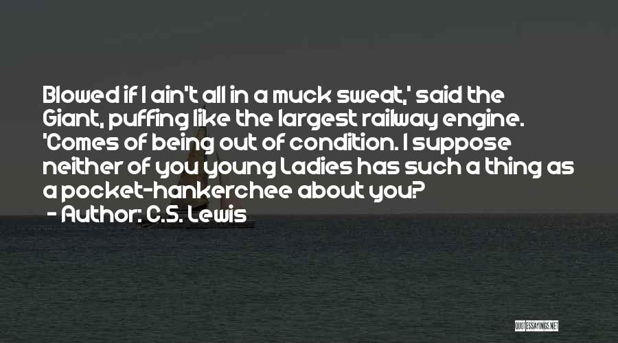 Railway Quotes By C.S. Lewis