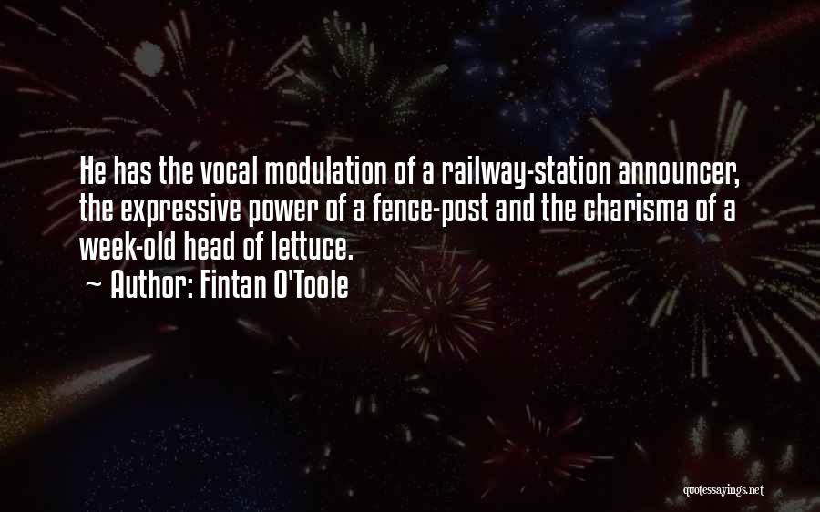 Railway Quotes By Fintan O'Toole