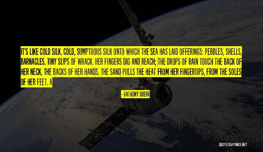 Rain And Cold Quotes By Anthony Doerr Rain And Cold Quotes By Anthony Doerr