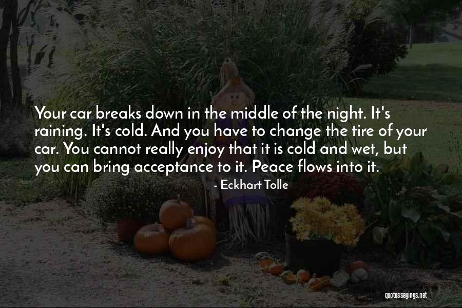 Rain And Cold Quotes By Eckhart Tolle Rain And Cold Quotes By Eckhart Tolle