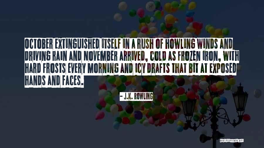 Rain And Cold Quotes By J.K. Rowling Rain And Cold Quotes By J.K. Rowling