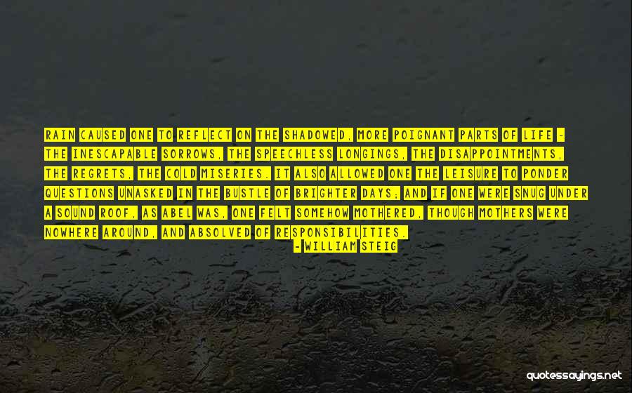 Rain And Cold Quotes By William Steig Rain And Cold Quotes By William Steig