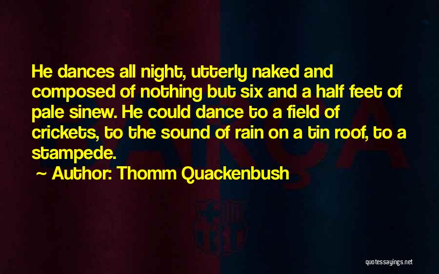 Rain And Dancing Quotes By Thomm Quackenbush