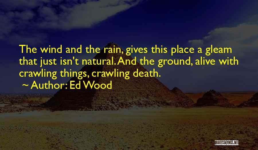 Rain And Death Quotes By Ed Wood