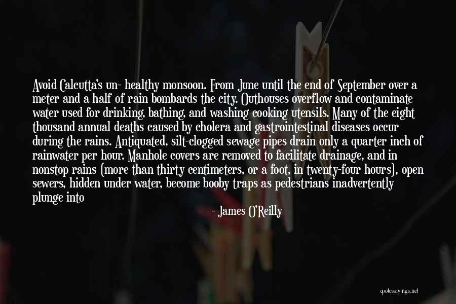 Rain And Drinking Quotes By James O'Reilly Rain And Drinking Quotes By James O'Reilly