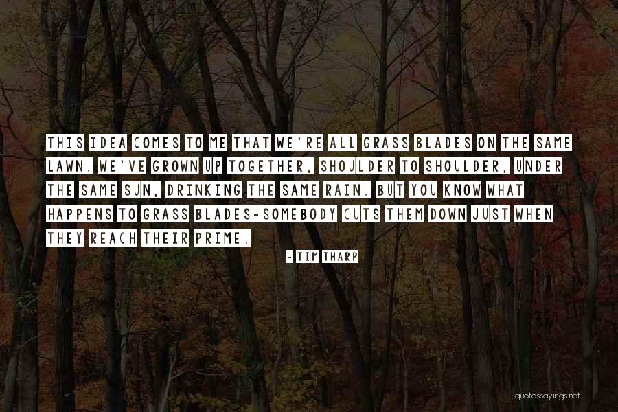 Rain And Drinking Quotes By Tim Tharp Rain And Drinking Quotes By Tim Tharp