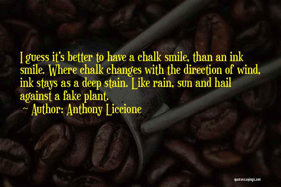 Rain And Music Quotes By Anthony Liccione