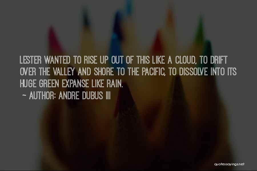 Rain And Quotes By Andre Dubus III