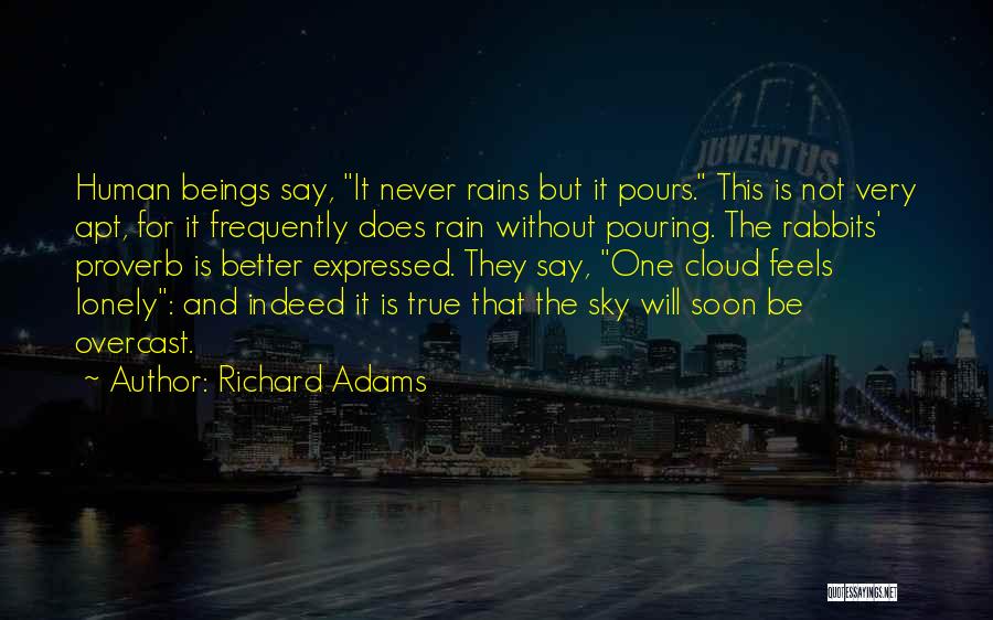 Rain And Quotes By Richard Adams