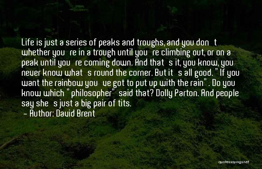 Rain And Rainbow Quotes By David Brent