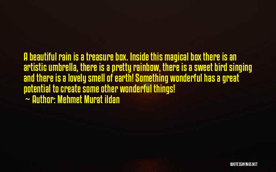 Rain And Rainbow Quotes By Mehmet Murat Ildan