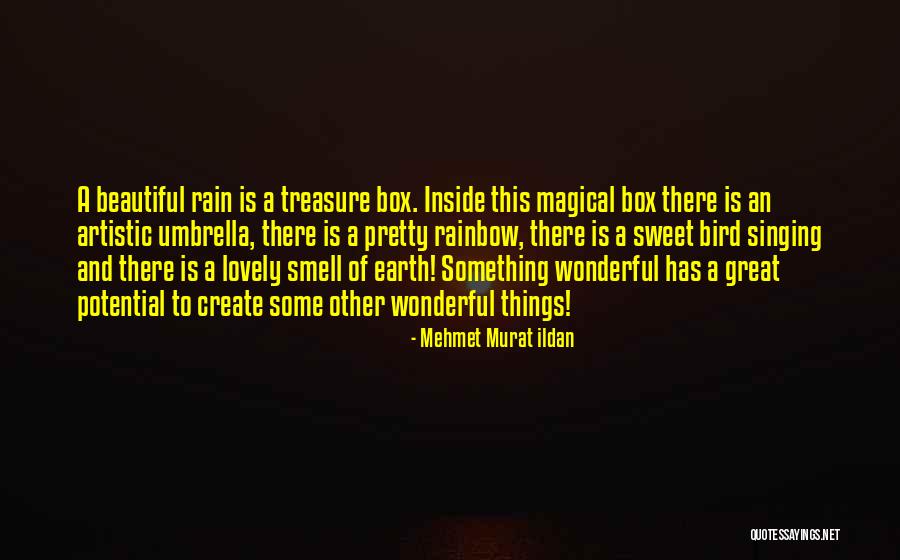 Rain And Rainbow Quotes By Mehmet Murat Ildan