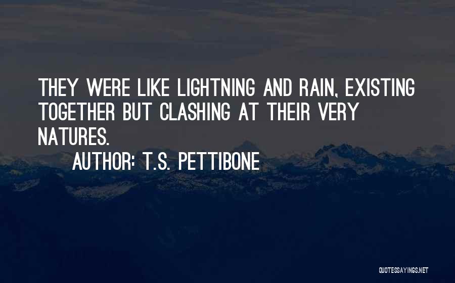 Rain And Romance Quotes By T.S. Pettibone