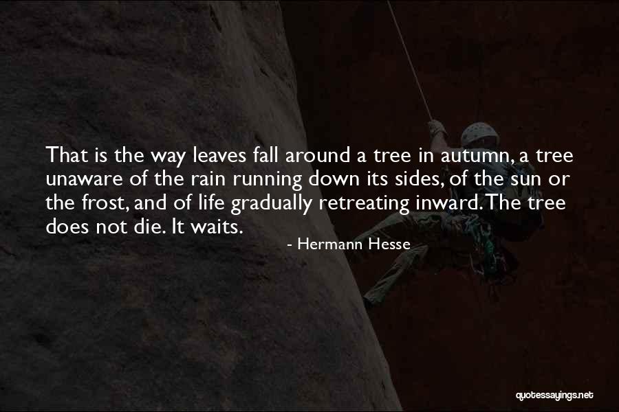 Rain And Running Quotes By Hermann Hesse