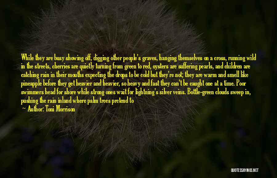 Rain And Running Quotes By Toni Morrison