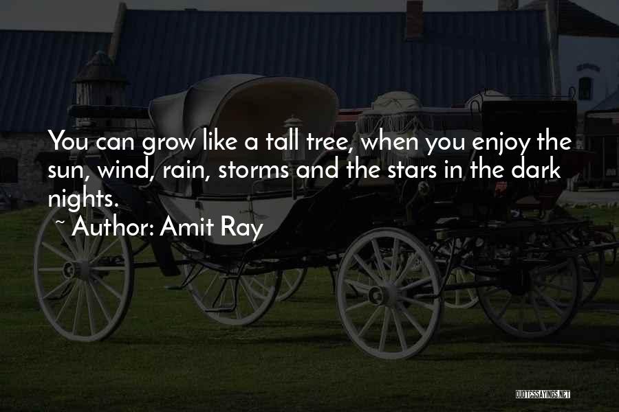 Rain And Storms Quotes By Amit Ray