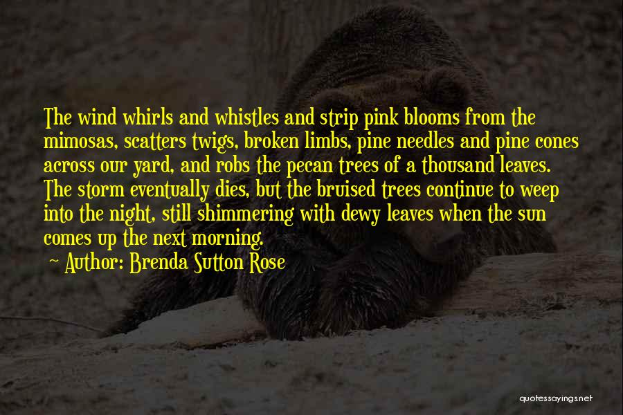 Rain And Storms Quotes By Brenda Sutton Rose