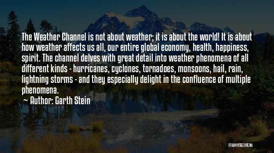 Rain And Storms Quotes By Garth Stein