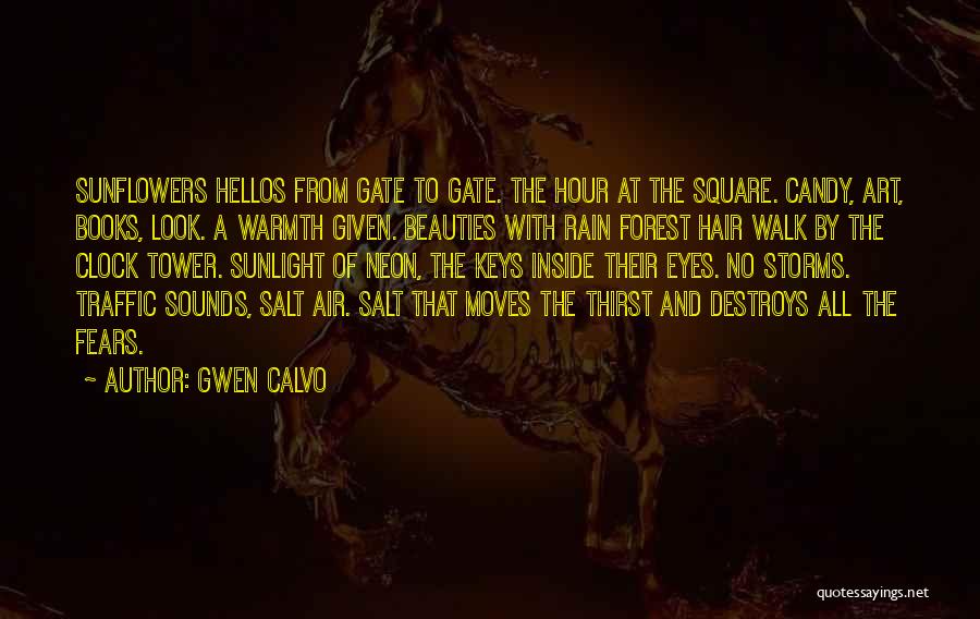 Rain And Storms Quotes By Gwen Calvo