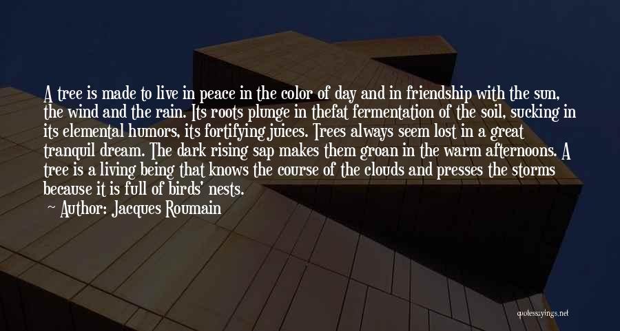 Rain And Storms Quotes By Jacques Roumain