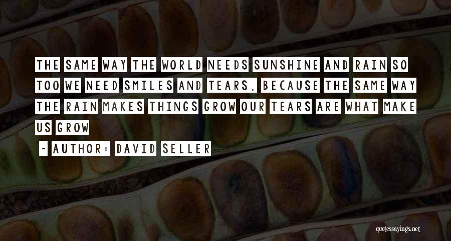 Rain And Sunshine Quotes By David Seller