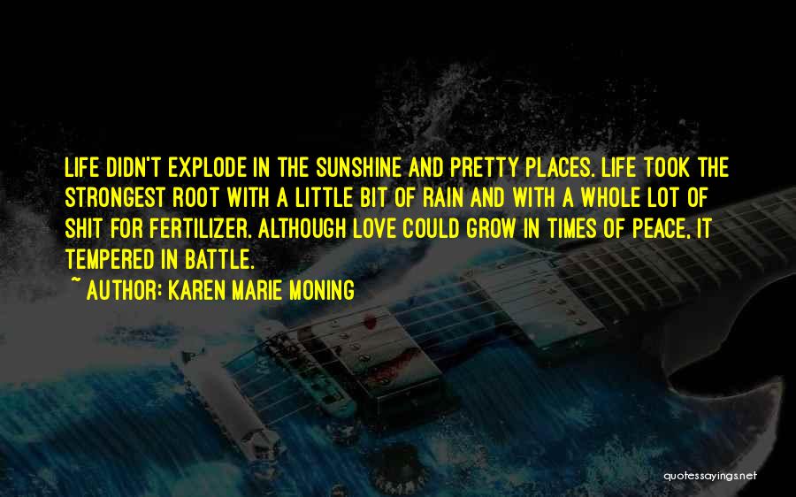 Rain And Sunshine Quotes By Karen Marie Moning