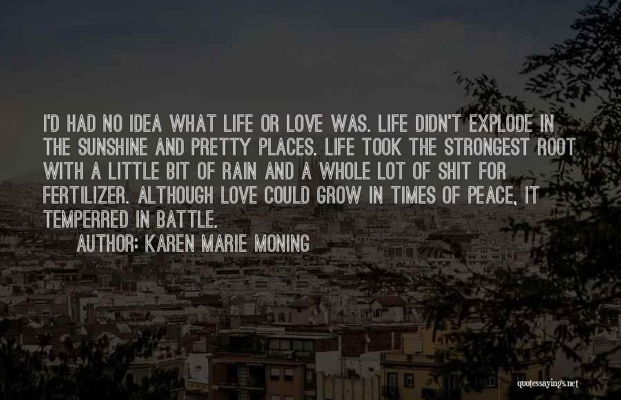 Rain And Sunshine Quotes By Karen Marie Moning