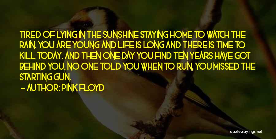 Rain And Sunshine Quotes By Pink Floyd