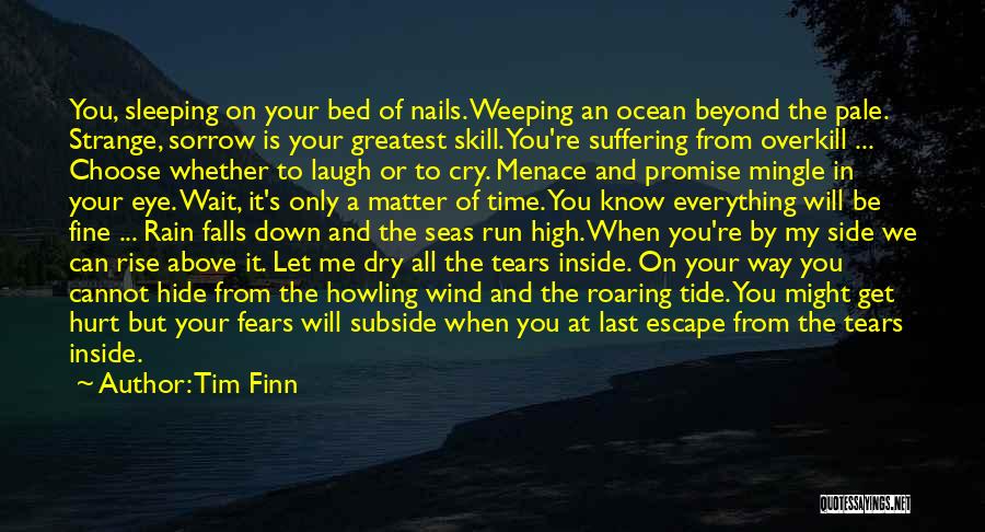 Rain And Tears Quotes By Tim Finn