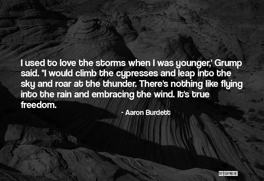 Rain And Thunder Quotes By Aaron Burdett