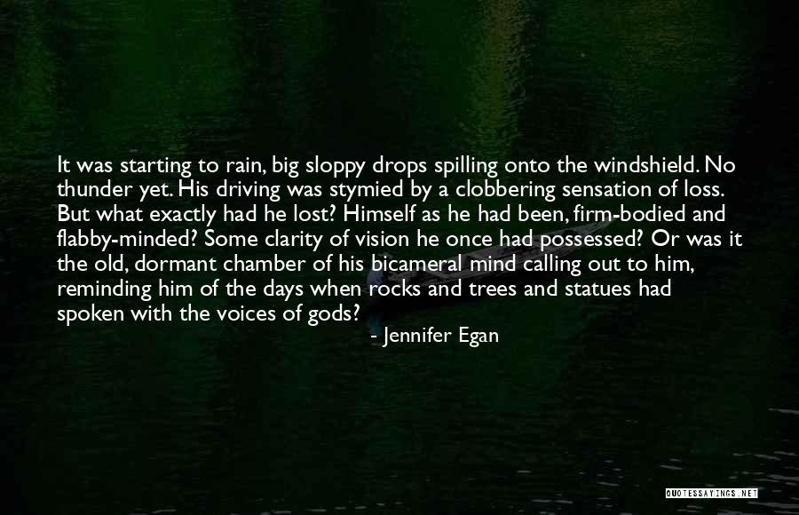 Rain And Thunder Quotes By Jennifer Egan