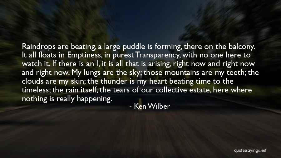 Rain And Thunder Quotes By Ken Wilber