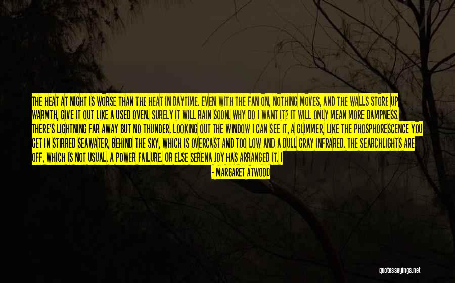 Rain And Thunder Quotes By Margaret Atwood