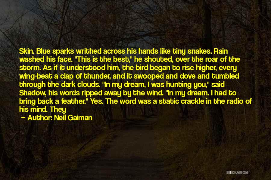 Rain And Thunder Quotes By Neil Gaiman