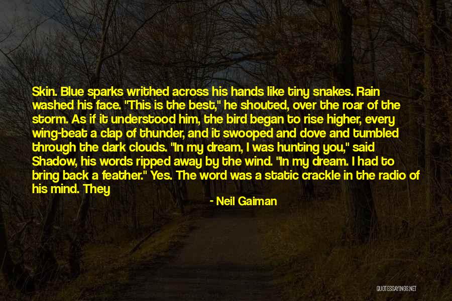 Rain And Thunder Quotes By Neil Gaiman