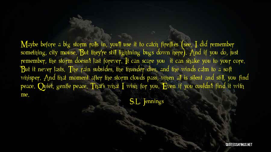 Rain And Thunder Quotes By S.L. Jennings