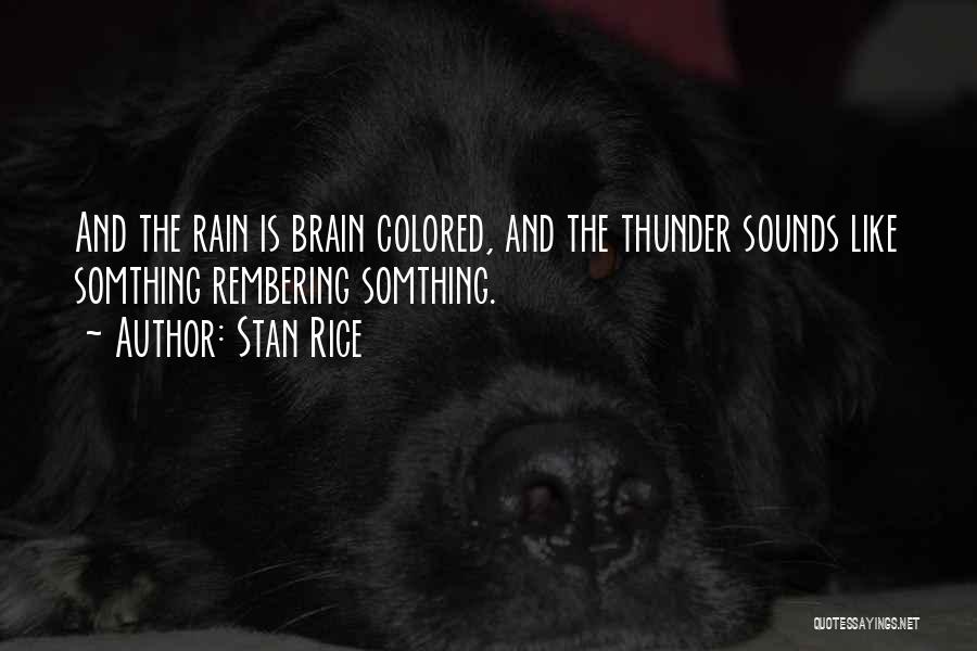 Rain And Thunder Quotes By Stan Rice