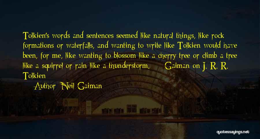 Rain And Thunderstorm Quotes By Neil Gaiman
