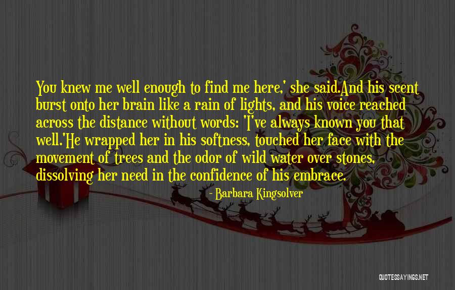 Rain And Trees Quotes By Barbara Kingsolver Rain And Trees Quotes By Barbara Kingsolver