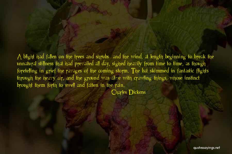 Rain And Trees Quotes By Charles Dickens