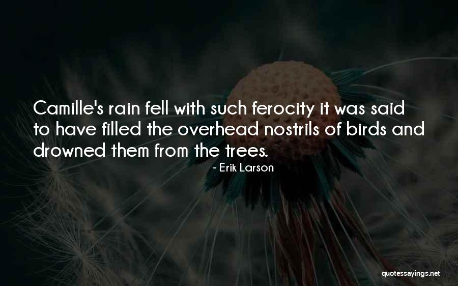 Rain And Trees Quotes By Erik Larson