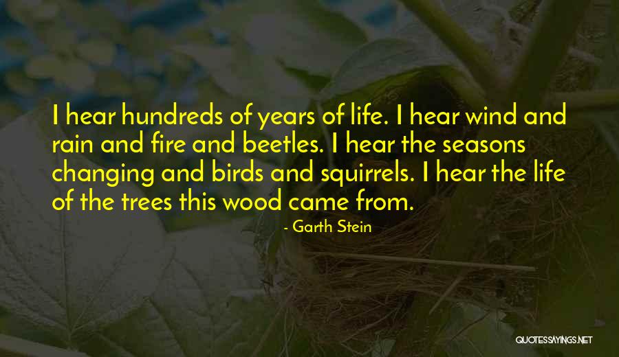 Rain And Trees Quotes By Garth Stein