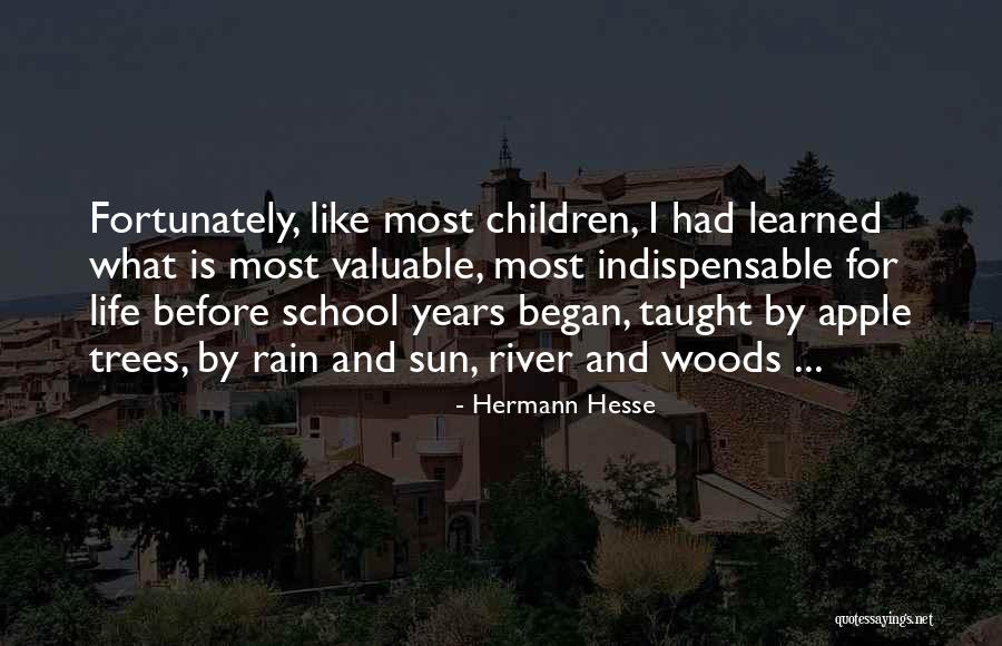 Rain And Trees Quotes By Hermann Hesse Rain And Trees Quotes By Hermann Hesse